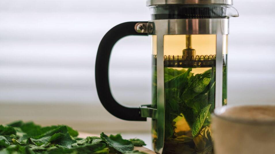 Grünen Tee in der French Press zubereiten