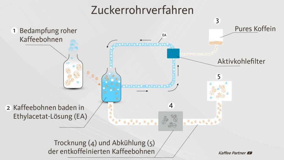 Das Zuckerrohrverfahren ist eine Lösungsmittelvariante der Entkoffeinierung