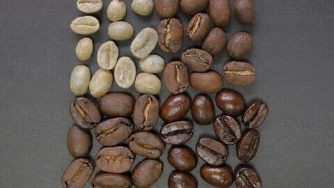 Kaffeebohnen in verschiedenen Stadien der Röstung - Kaffeesorten