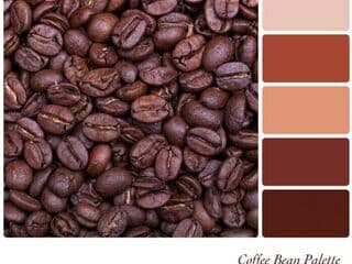Nahaufnahme von Kaffeebohnen mit passenden Farbtönen rechts