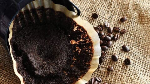 Gebrauchter Kaffeefilter mit feuchtem Kaffeesatz in einem Filterhalter, daneben verstreute Kaffeebohnen auf grobem Jutestoff