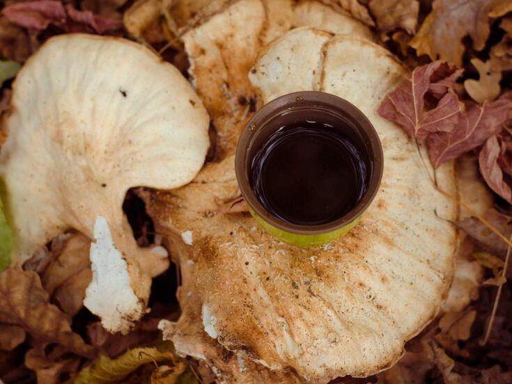 Kaffee liegt auf Pilz