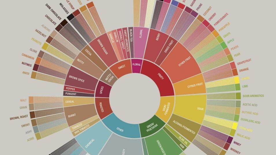 Kaffee Aromarad der SCAA