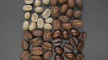 Kaffeebohnen in verschiedenen Stadien der Röstung - Kaffeesorten