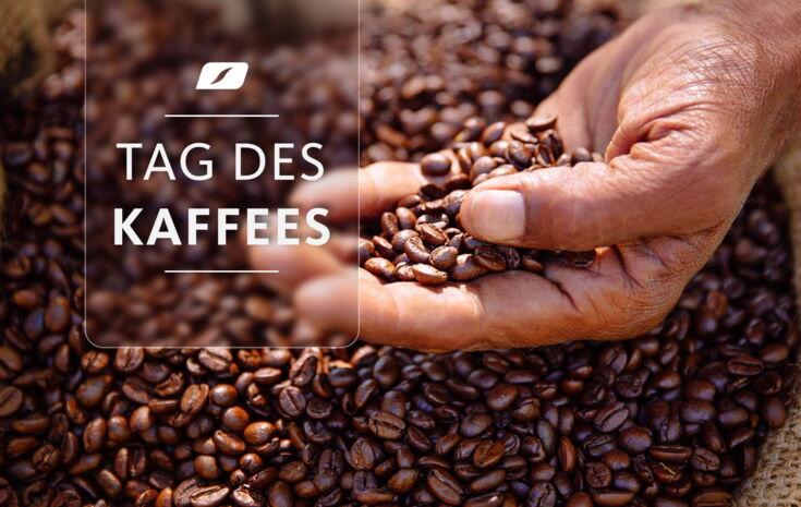 Hand hält frisch geröstete Kaffeebohnen