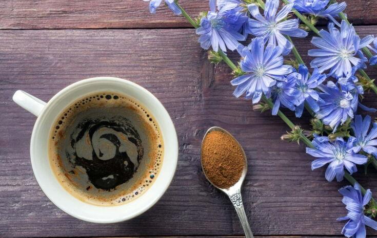 Ersatzkaffee aus Zichorienwurzel