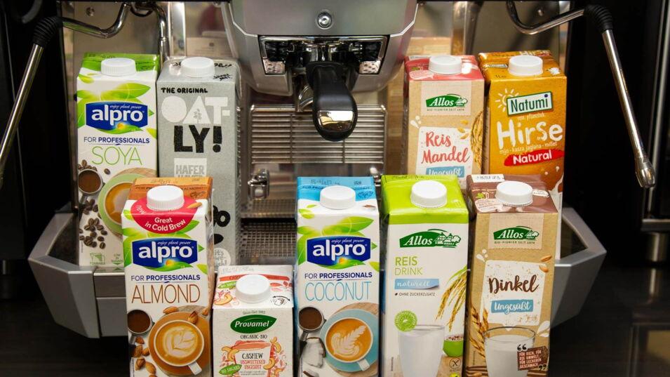 Milchalternativen: Reismilch, Sojamilch, Hafermilch, Kokosmilch, Dinkelmilch, Hirsemilch, Cashewmilch nebeneinander