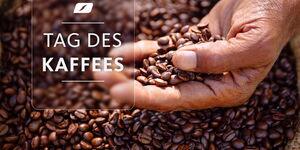 Hand hält frisch geröstete Kaffeebohnen