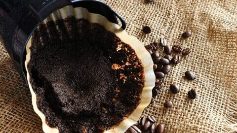 Gebrauchter Kaffeefilter mit feuchtem Kaffeesatz in einem Filterhalter, daneben verstreute Kaffeebohnen auf grobem Jutestoff