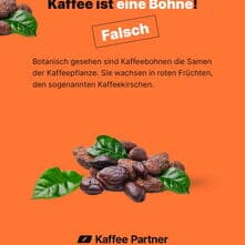 ☕️ Kaffee-Faktencheck
Kaffee ist eine Bohne? Dunkle Röstungen haben mehr Koffein? Espresso schlägt Filterkaffee beim Koffeingehalt?
Rund um Kaffee gibt es viele Mythen. Wir haben einige der bekanntesten Aussagen für dich geprüft. 👀
Welcher Fakt hat dich überrascht? 👇
#KaffeeFakten #Kaffeewissen #KaffeeMythen