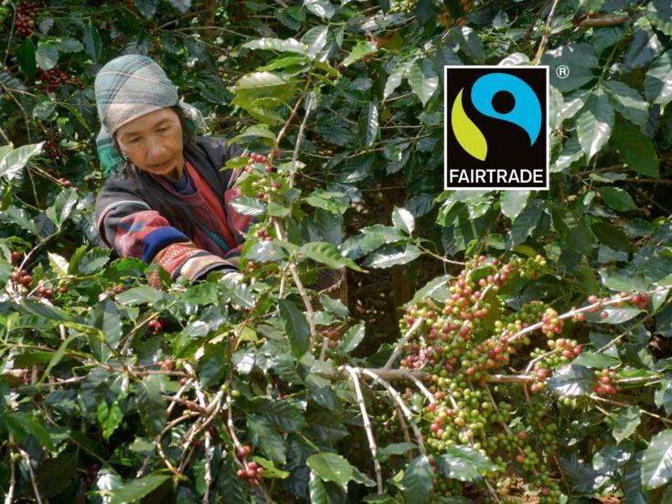 fair trade siegel