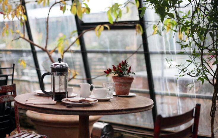 French Press auf Tisch