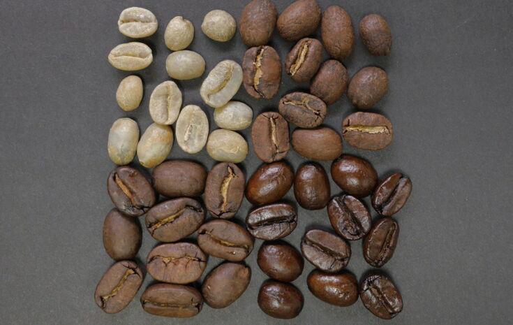 Kaffeebohnen in verschiedenen Stadien der Röstung - Kaffeesorten